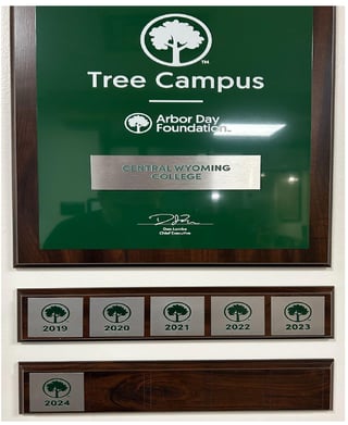 Tree Campus